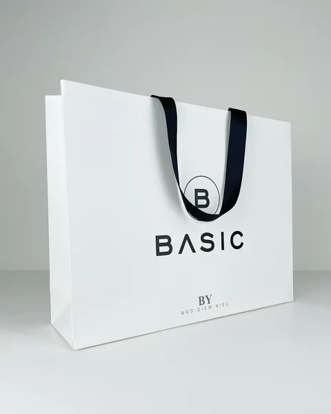 BASIC — Fashionable paper bag